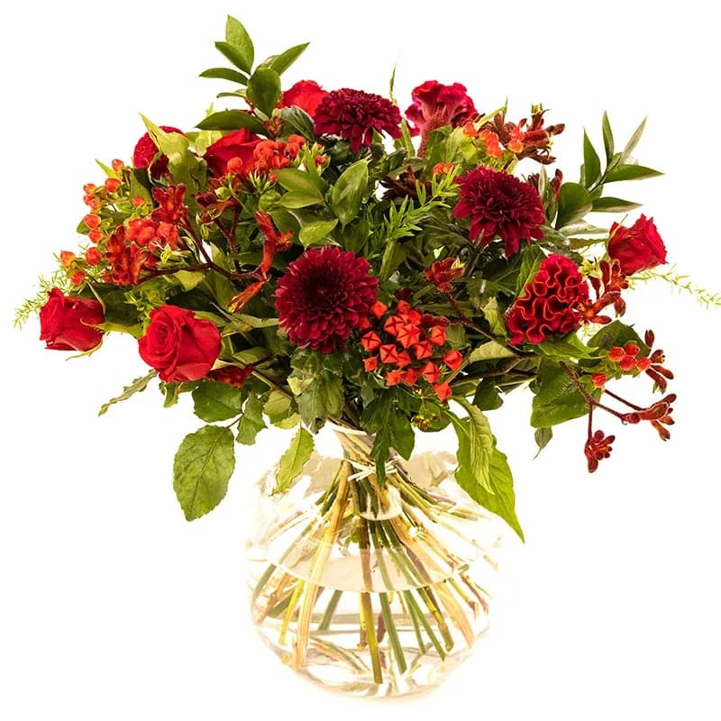 Rood boeket bloemen groot